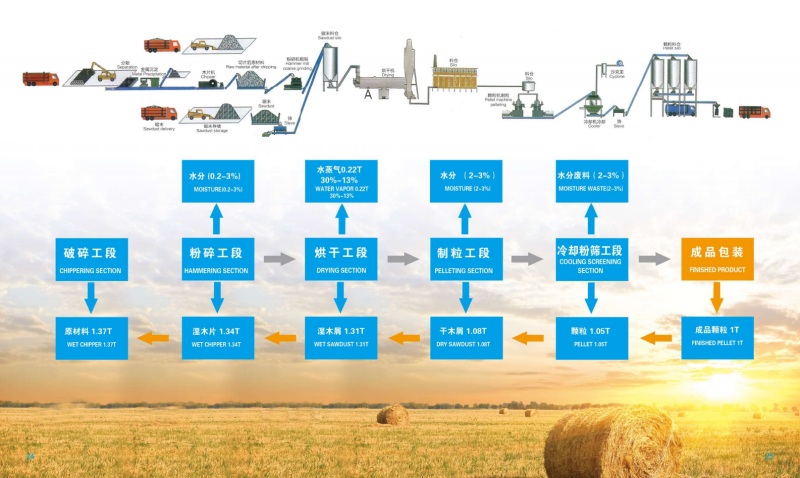 蓝鲸体育直播宣传册_13 - 副本.png